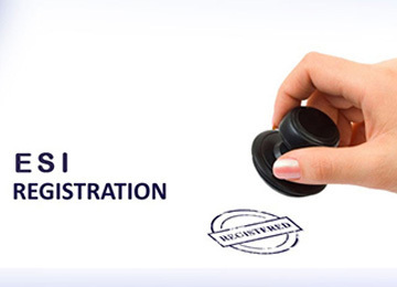 WMC Advisory ESI Registration Services